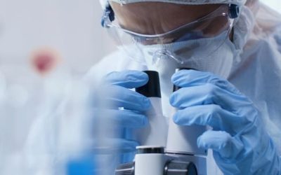 Scientist looking into microscope analyzing blood sample