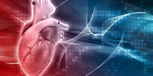 human-heart-design-for-cardiovascular-disease
